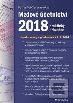 Obrázok Mzdové účetnictví 2018