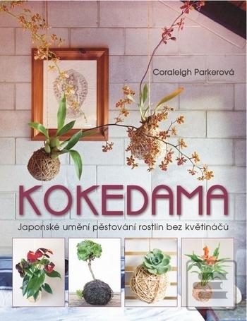 Obrázok Kokedama