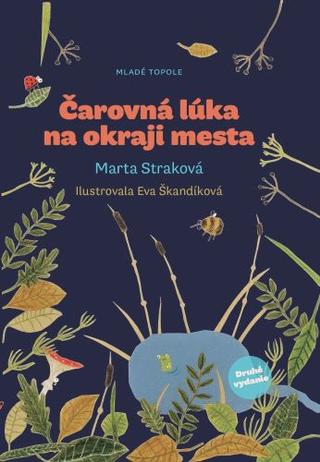 Kniha: Čarovná lúka na okraji mesta - Marta Straková