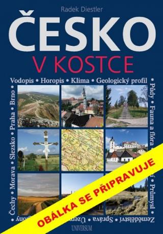 Kniha: Česko v kostce - 1. vydanie - Radek Diestler