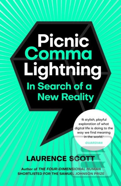 Obrázok Picnic Comma Lightning - In Search of a New Reality