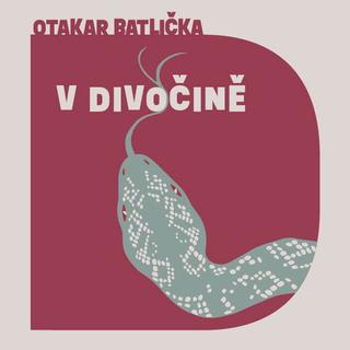 Médium CD: V divočině - Otakar Batlička; David Matásek