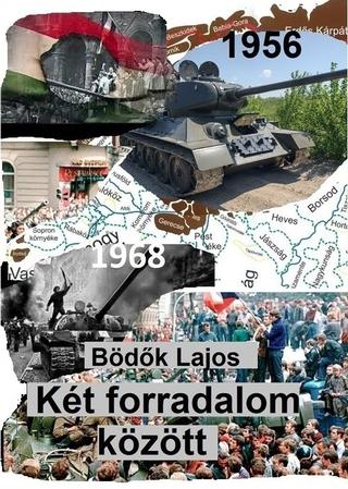 Kniha: Két forradalom között - Lajos Bödők