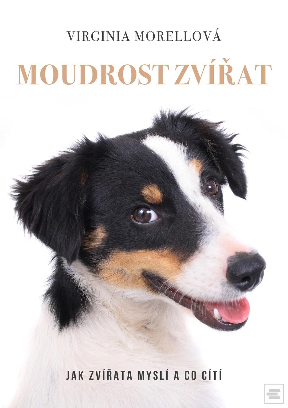 Obrázok Moudrost zvířat