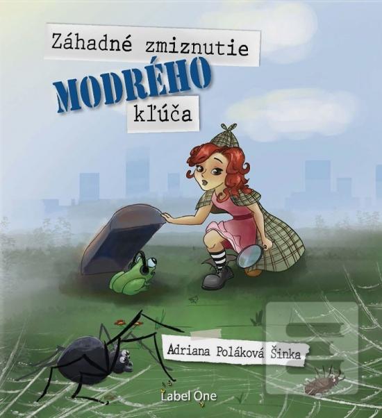 Obrázok Záhadné zmiznutie modrého kľúča