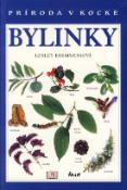 Kniha: Bylinky - Príroda v kocke - Lesley Bremnessová